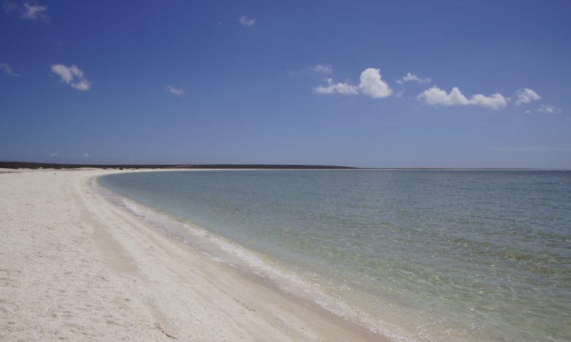 Kalbarri & Shell Beach - Gallery Slide #4